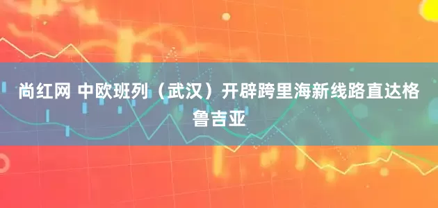 尚红网 中欧班列（武汉）开辟跨里海新线路直达格鲁吉亚