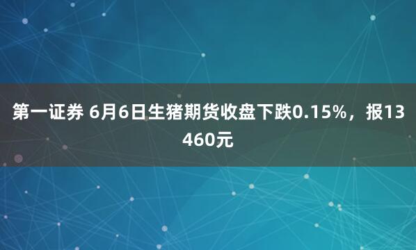第一证券 6月6日生猪期货收盘下跌0.15%，报13460元