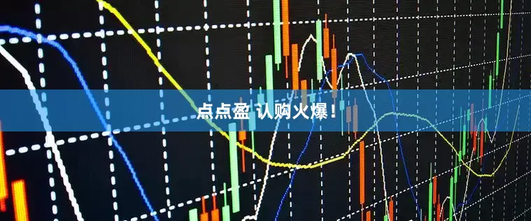 点点盈 认购火爆！